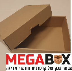עמוד: עמוד הבית